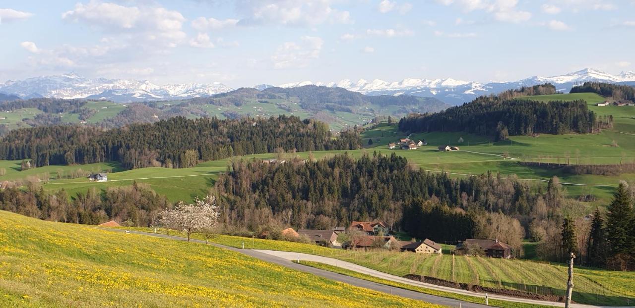 Lütisburg Bnb Alpenblick المظهر الخارجي الصورة